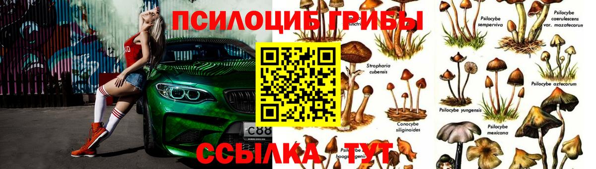 Псилоцибиновые грибы прущие грибы  Вход с VPN  Алатырь 